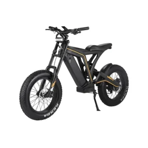 Vsett Eagle 48V 20Ah