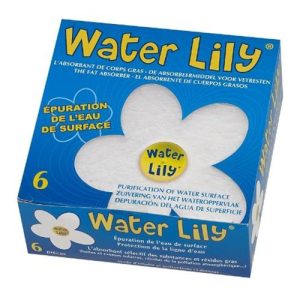 Waterlily Toucan Productions